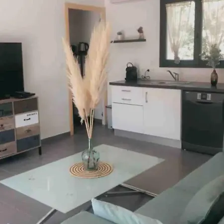 De Charme T3 Saint Florent * Barbaggio